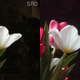 Illustration for article titled Samsung Galaxy Camera Review: Android Franken-Camera, You Are Absurd and Almost Wonderful
